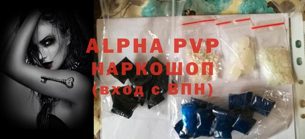 стаф Аркадак