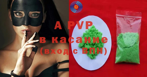 стаф Аркадак