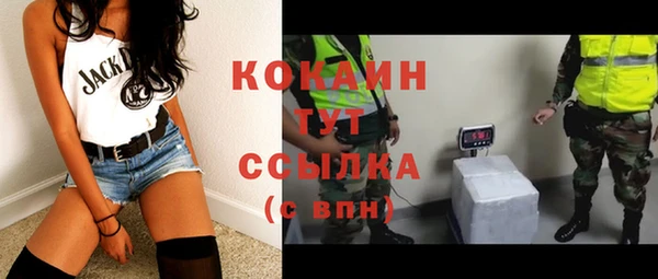 стаф Аркадак