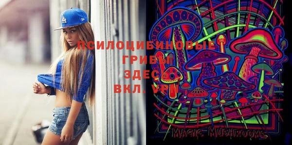 стаф Аркадак