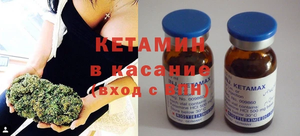 стаф Аркадак